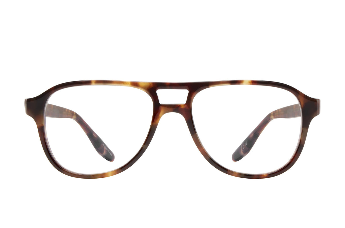 Barton Perreira Mirando 54 Optical in Chestnut