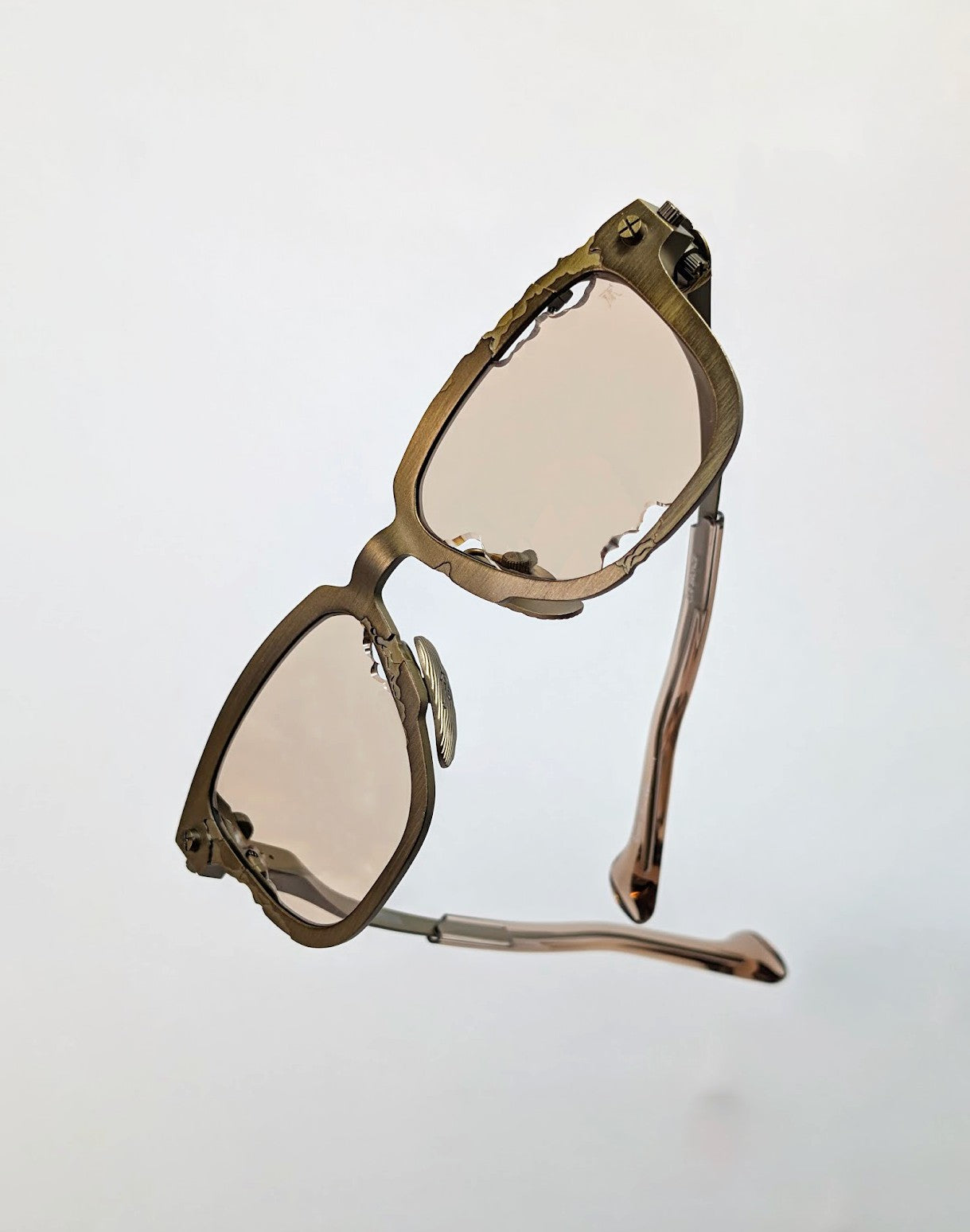 Titanium Museum Specimen 02 Sunglasses