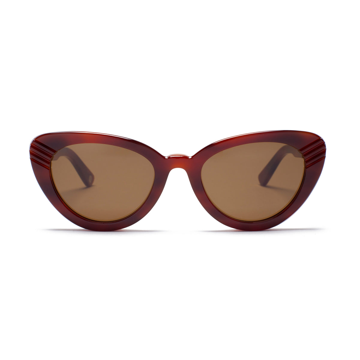 Port Royal Brown Turtle - front