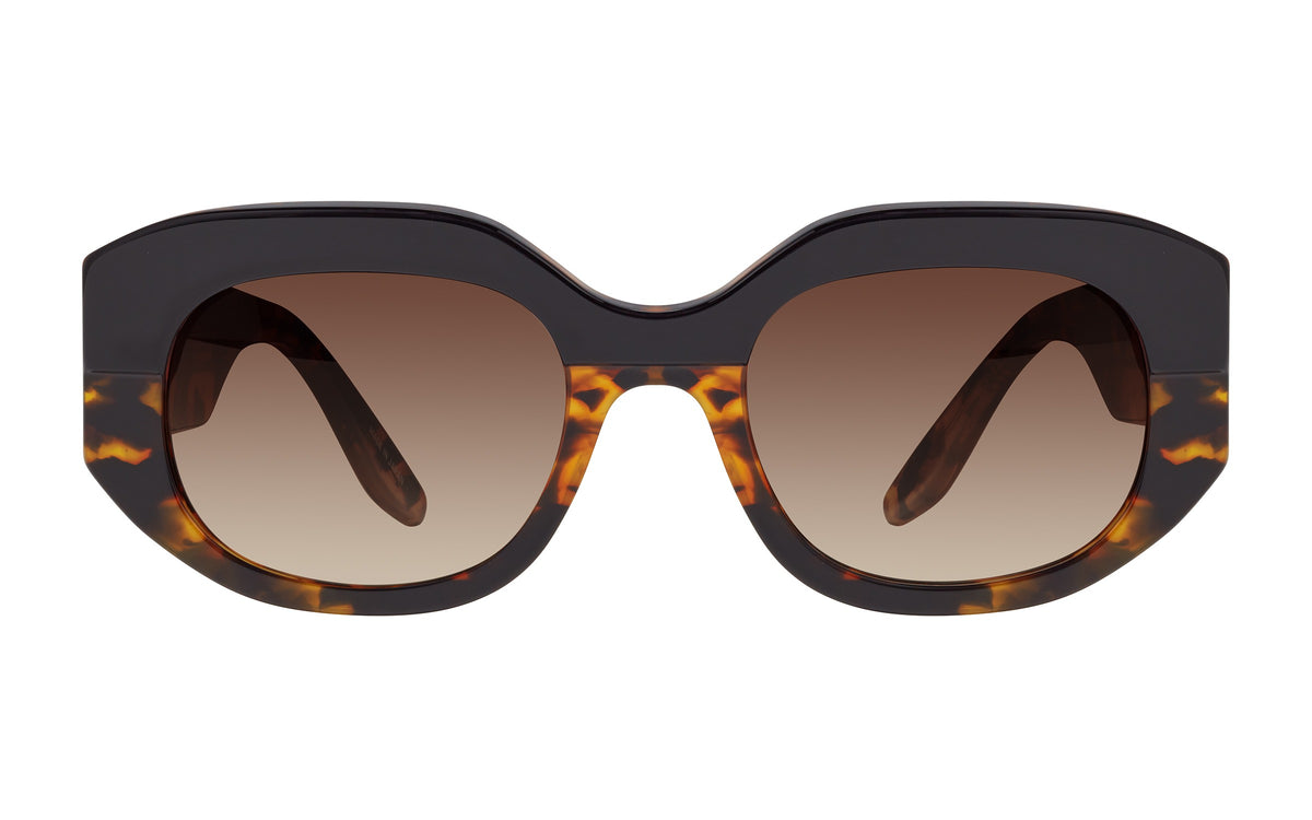 Barton Perreira Sueno sunglasses in Black Amber Tortoise / Smokey Topaz at Visionary Optics NYC