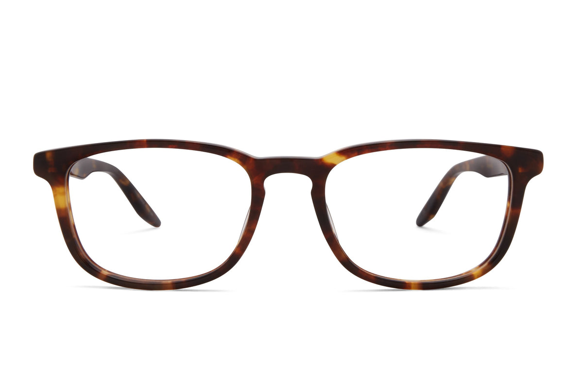 Barton Perreira Thompson eyeglasses in Chestnut at Visionary Optics NYC