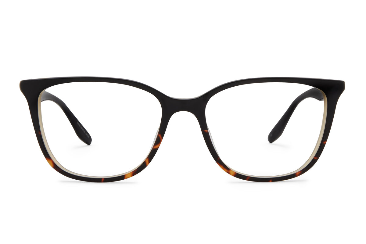 Barton Perreira Ursula eyeglasses in Black Tortoise Gradient at Visionary Optics NYC