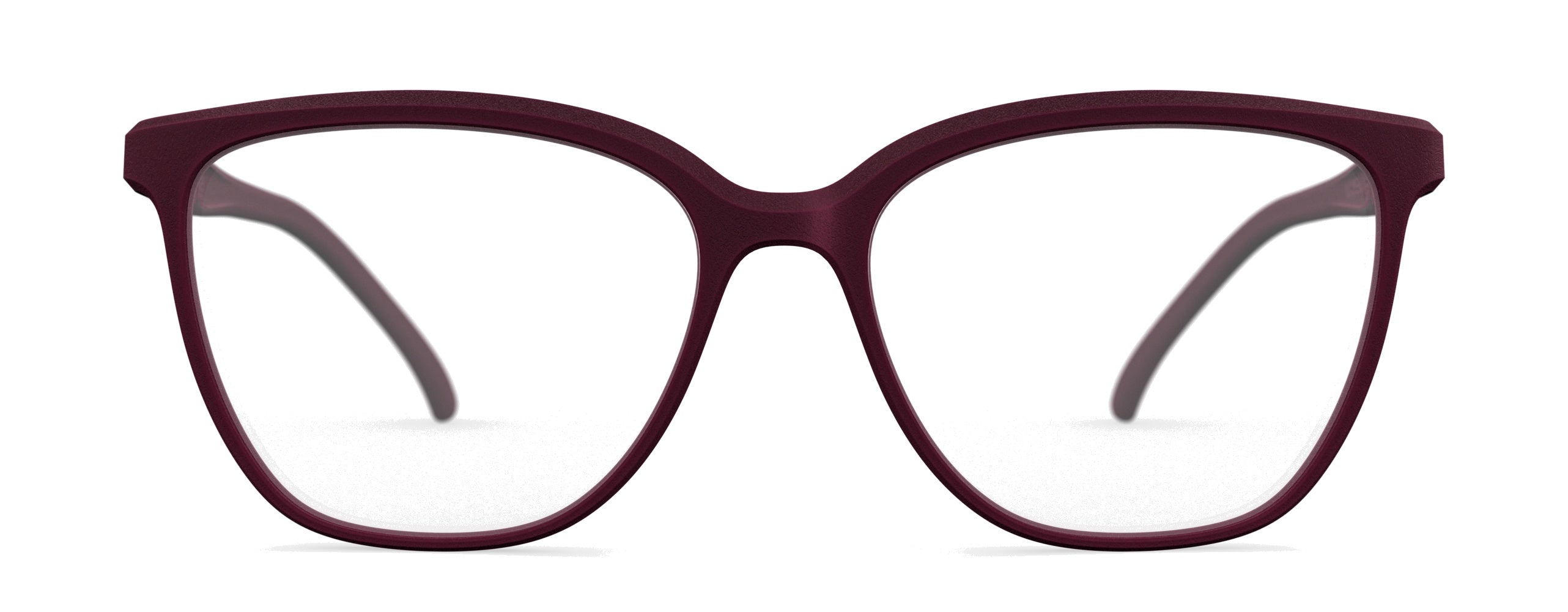 Rolf Pisa M Optical