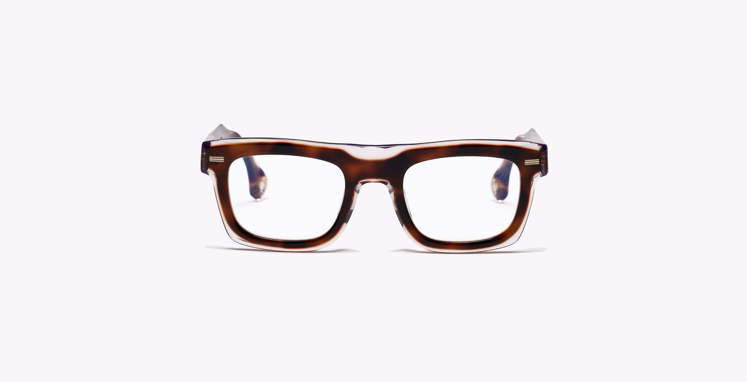 Blake Kuwahara Resnick Sunglasses in Tortoise