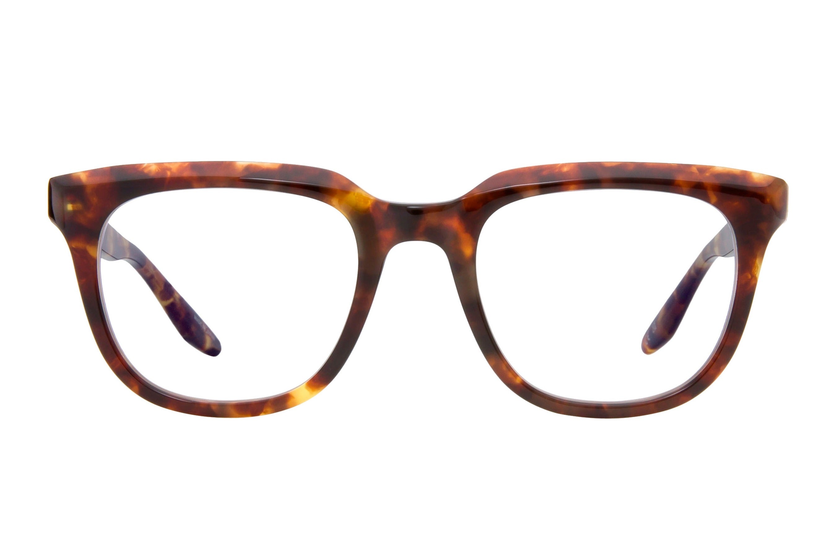Barton Perreira Bogle eyeglasses in Chestnut at Visionary Optics NYC
