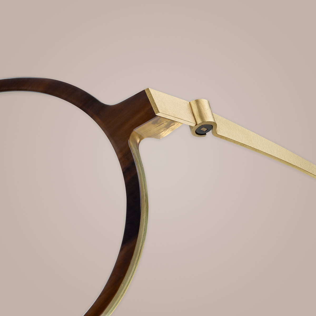 Close-up of a LINDBERG buffalo horn front with a gold-colored temple
