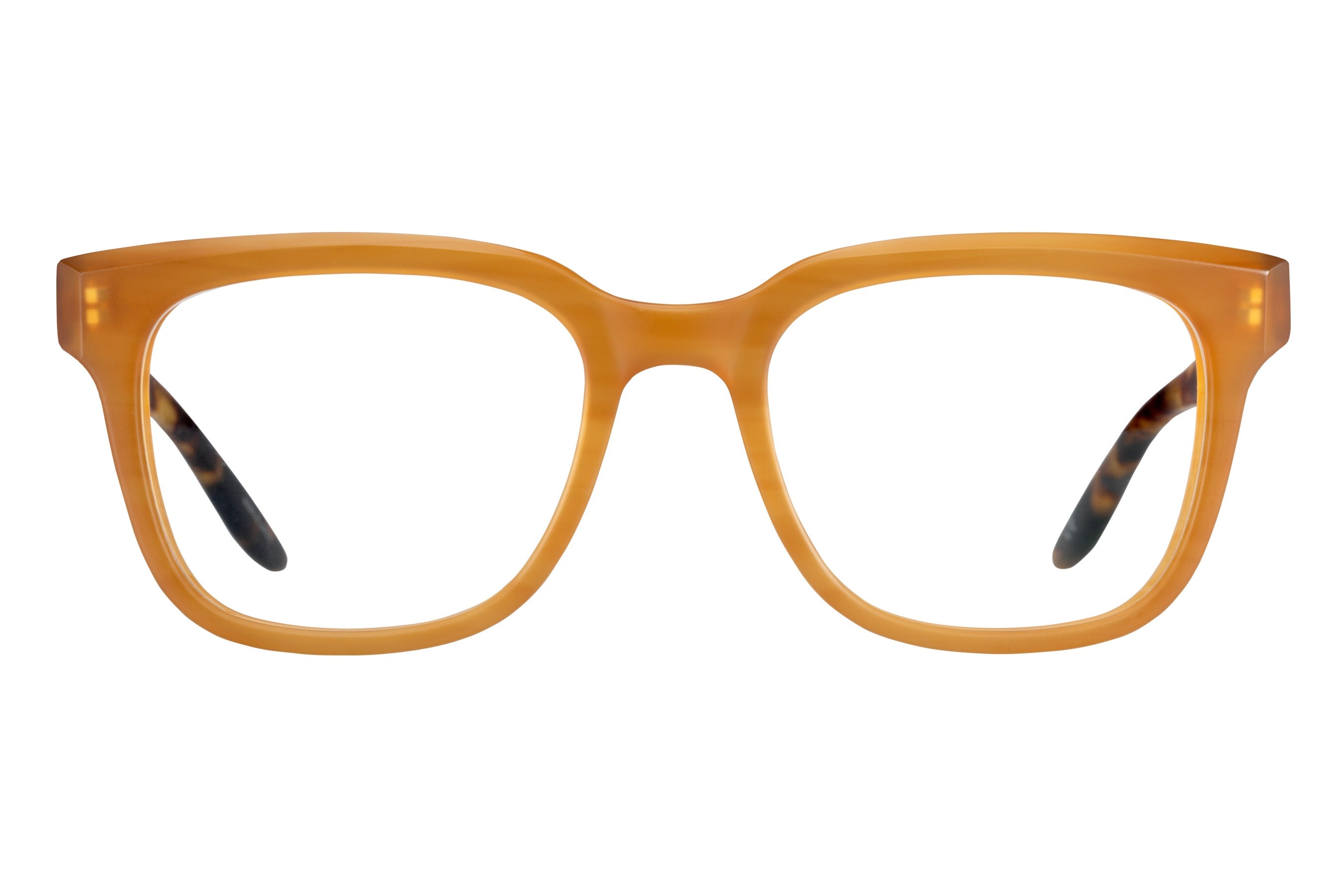 Barton Perreira Chisa eyeglasses in Mgh/Mto at Visionary Optics NYC
