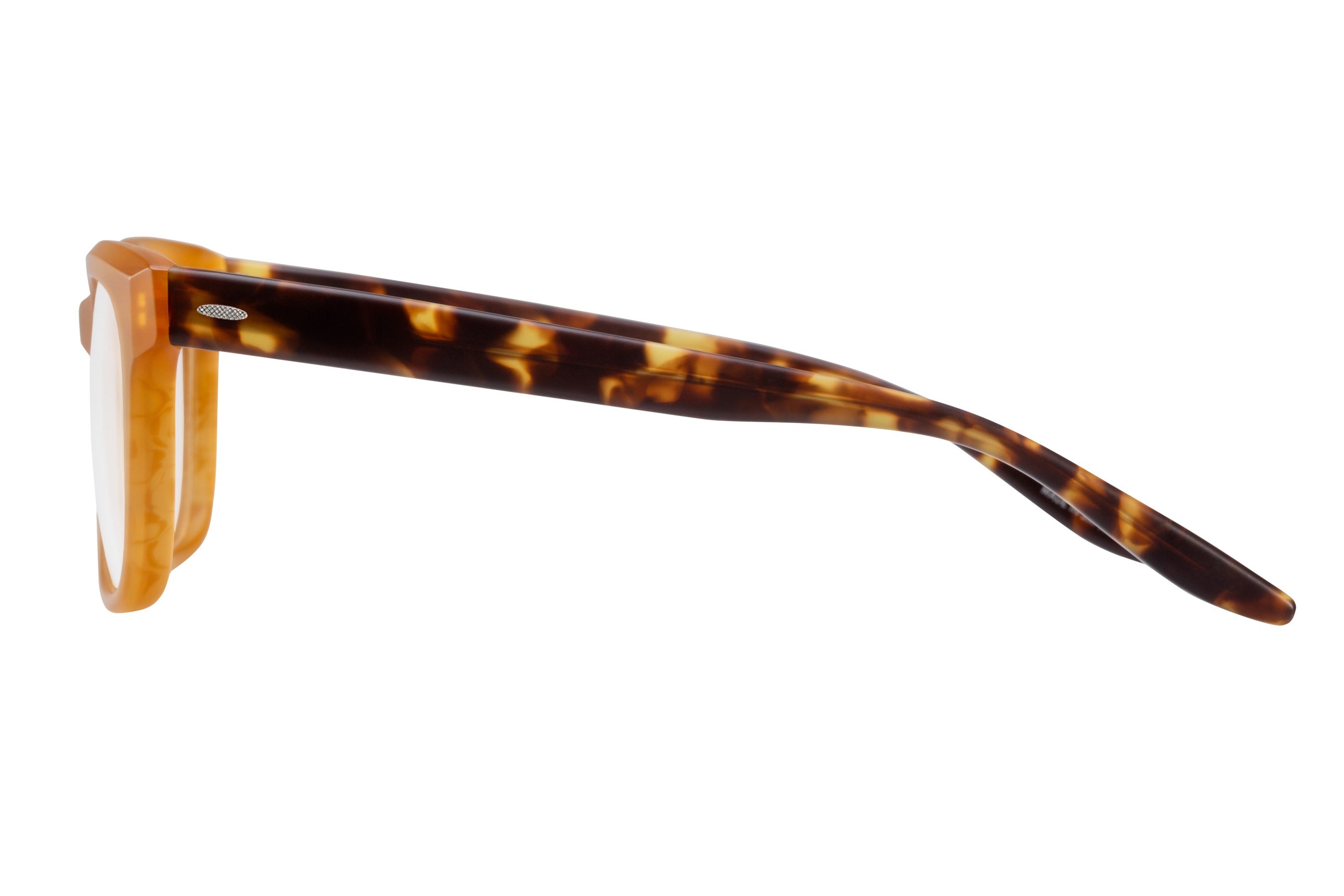 Barton Perreira Chisa eyeglasses in Mgh/Mto at Visionary Optics NYC
