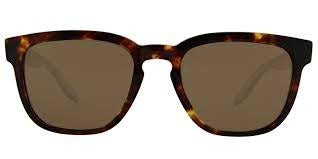 Barton Perreira Coltrane sunglasses in Chestnut / Sequoia Polarized at Visionary Optics NYC