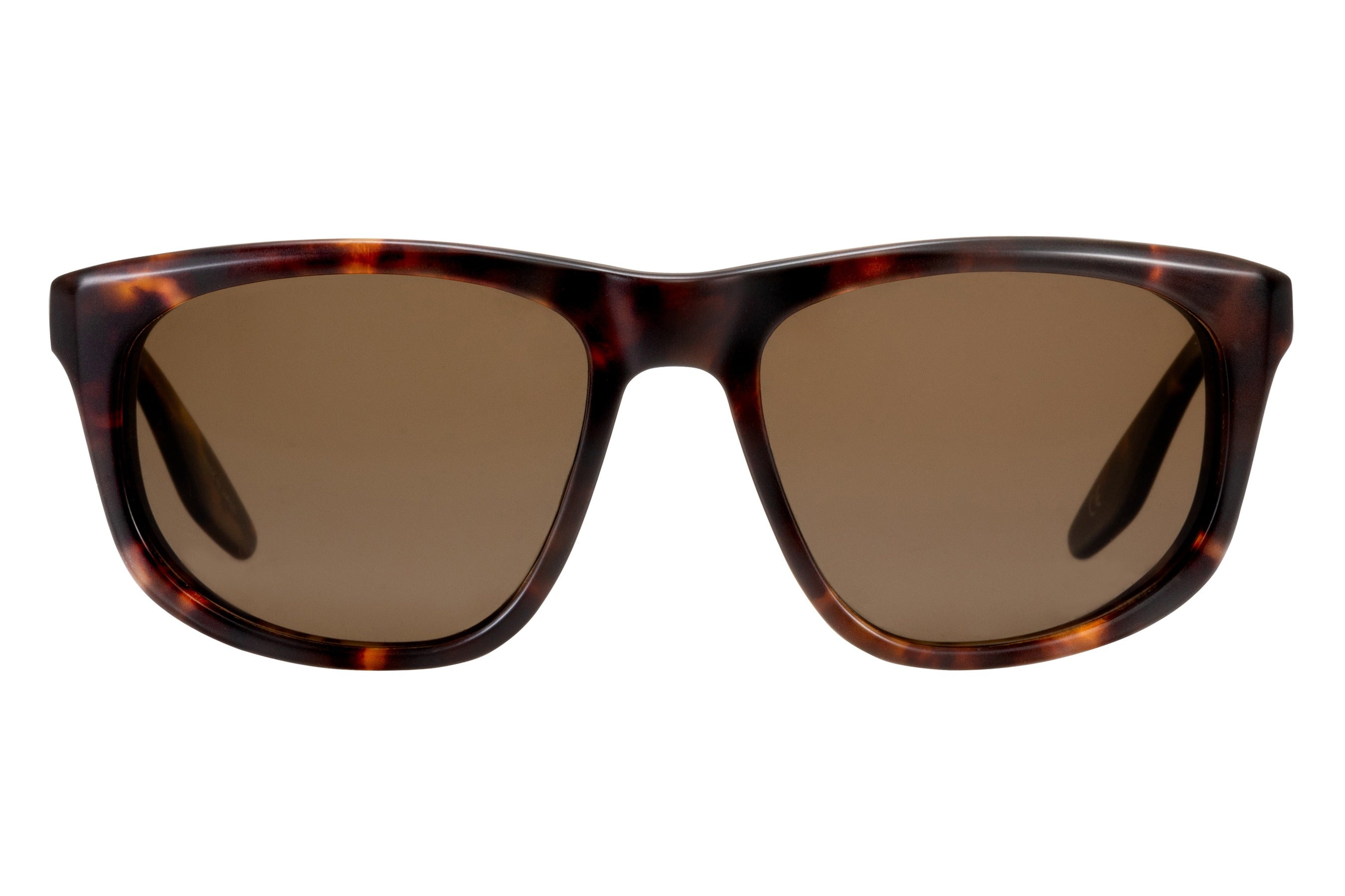 Barton Perreira Goldfinger 007 sunglasses in Mch/Sep at Visionary Optics NYC