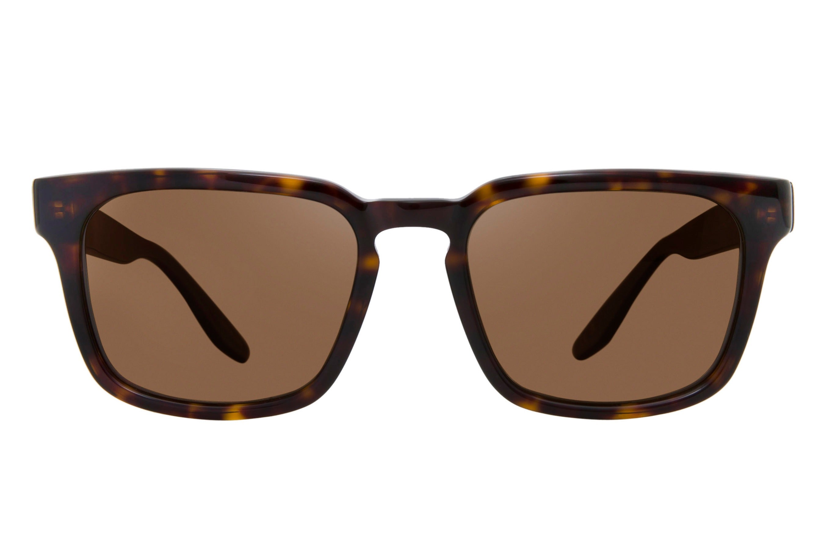 Barton Perreira Hamilton sunglasses in Daw at Visionary Optics NYC