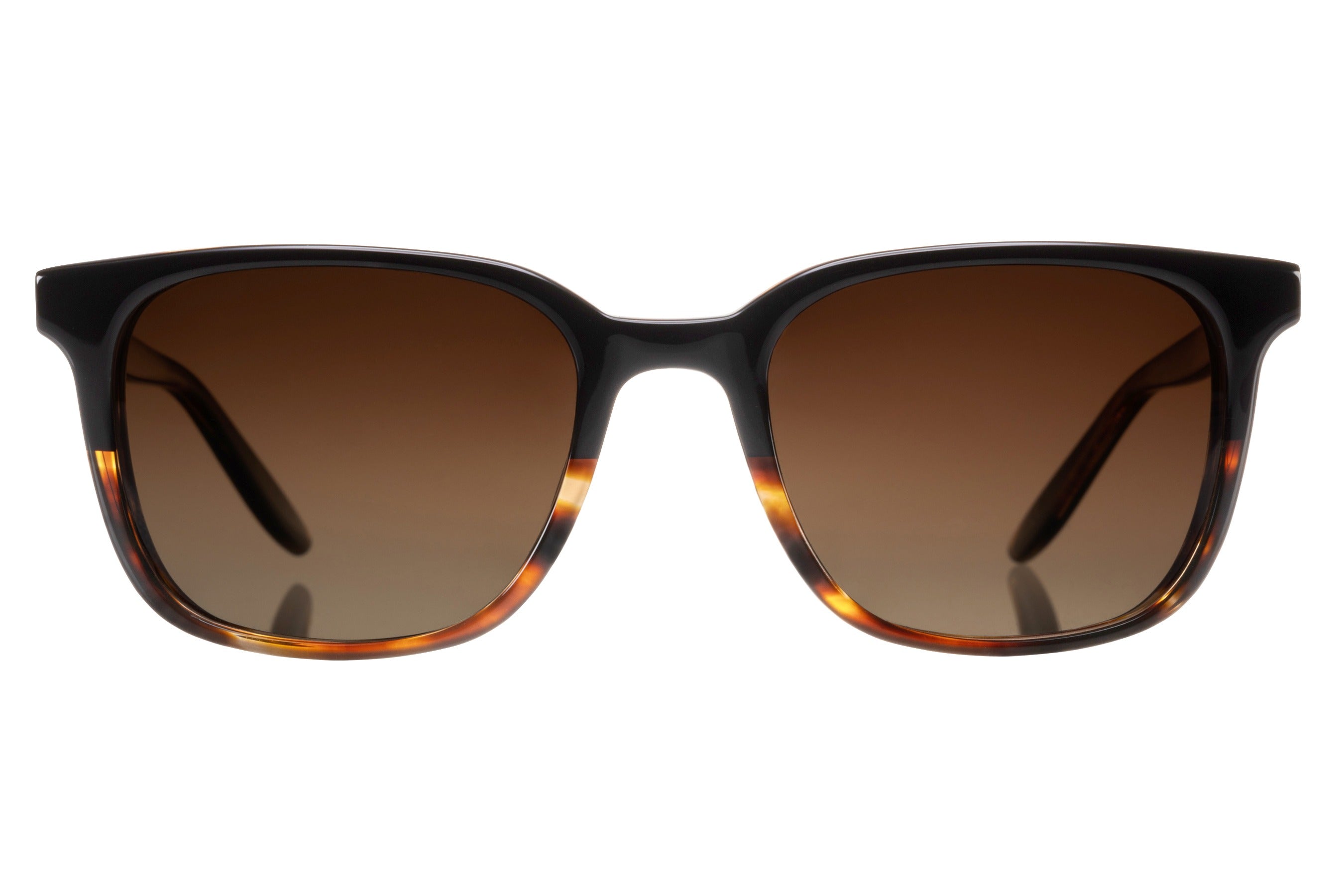 Barton Perreira Joe 007 sunglasses in EL Nido at Visionary Optics NYC