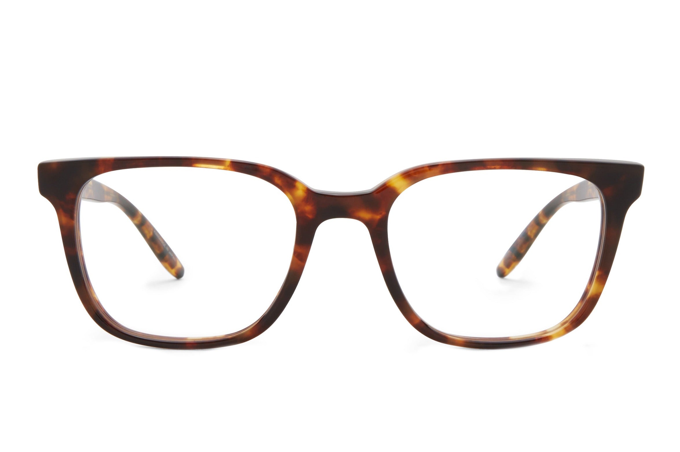 Barton Perreira Joe eyeglasses in Chestnut at Visionary Optics NYC