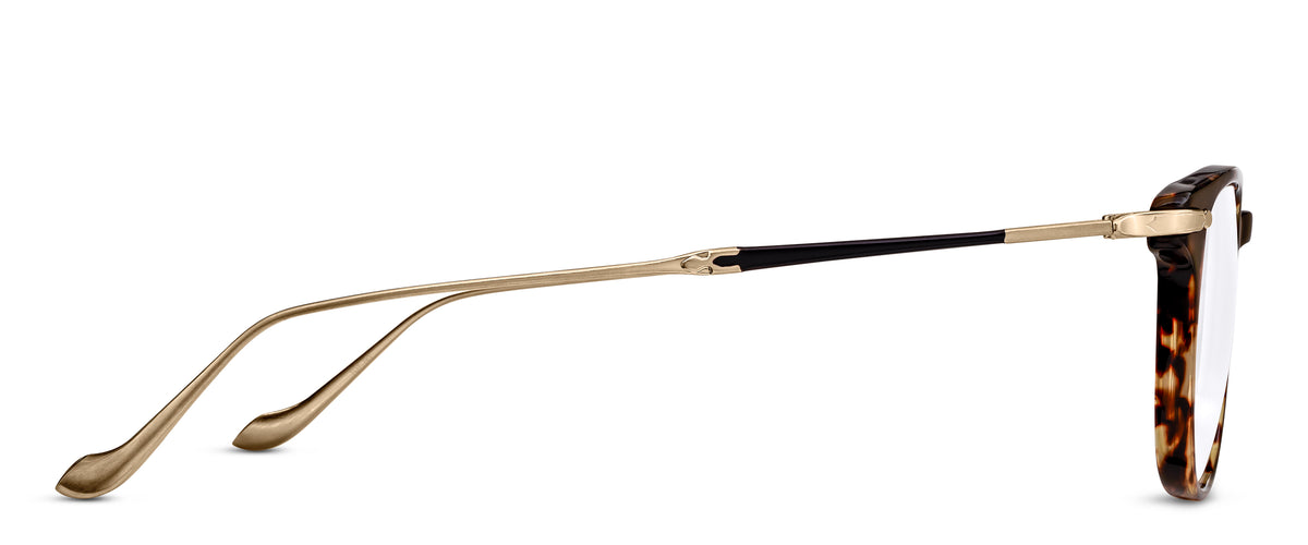 Matsuda M2052 Tokyo Tortoise Brushed Gold profile view