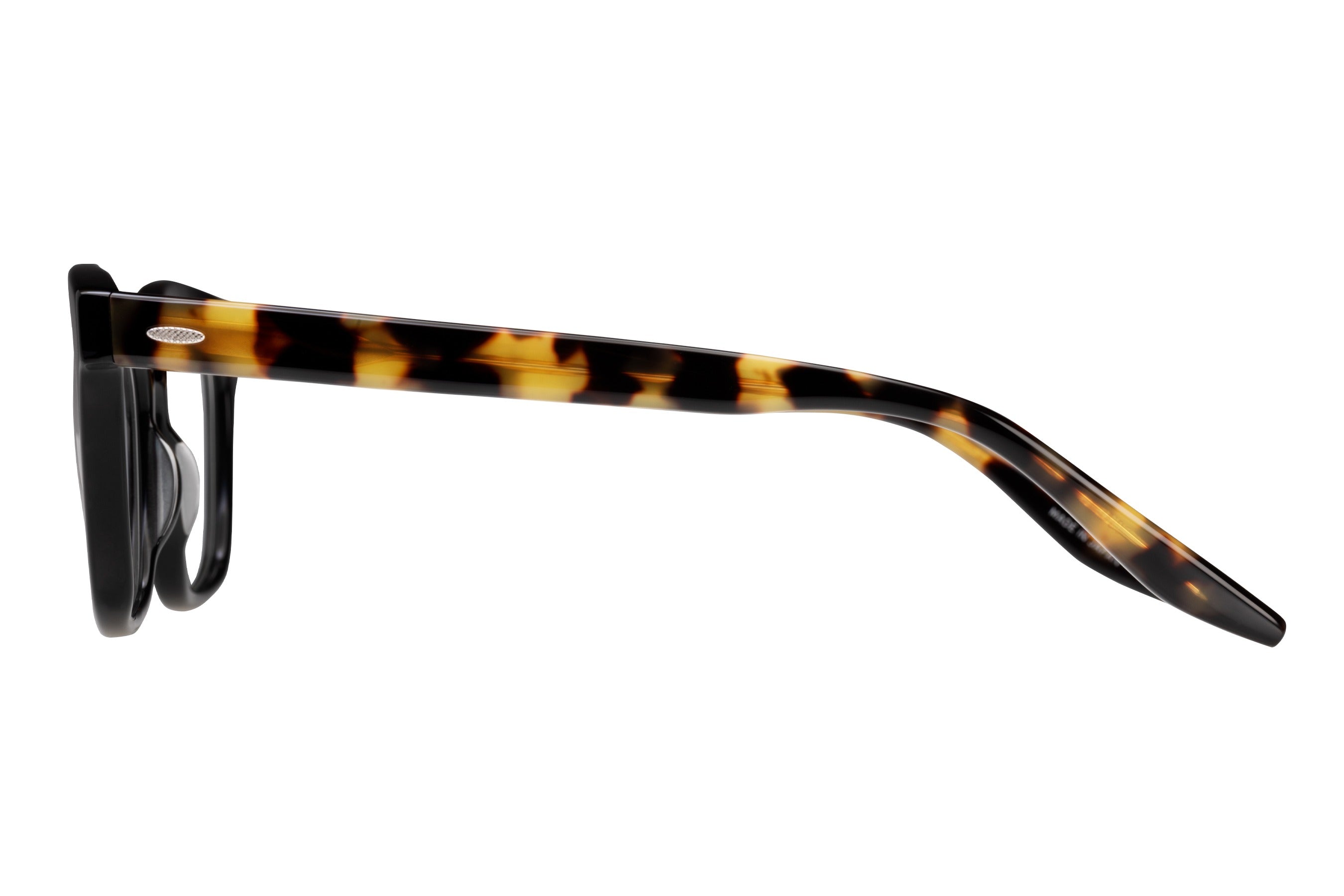 Barton Perreira Moira eyeglasses in Black / Tokyo Tortoise at Visionary Optics NYC