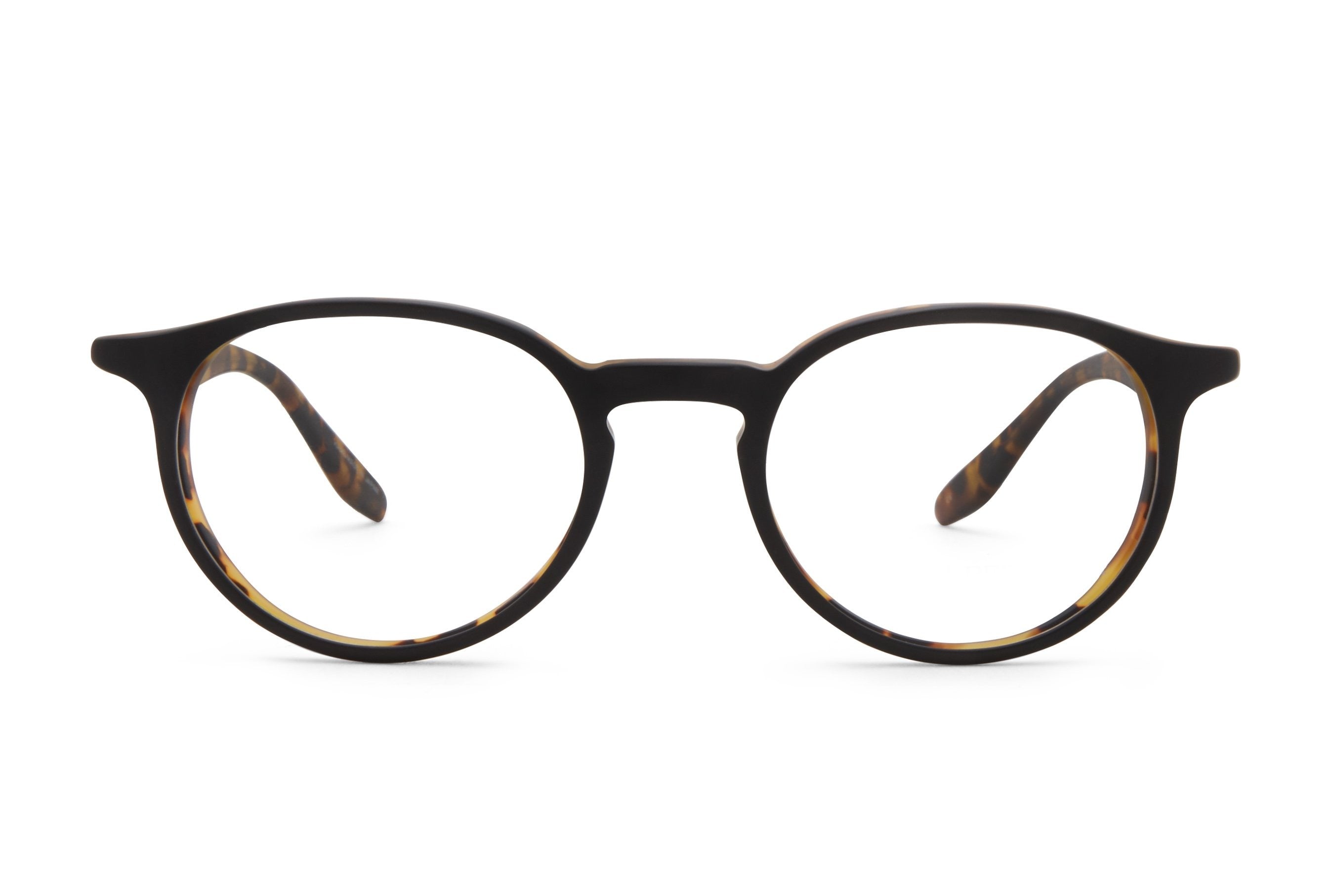 Barton Perreira Norton eyeglasses in Matte Black Amber Tortoise at Visionary Optics NYC