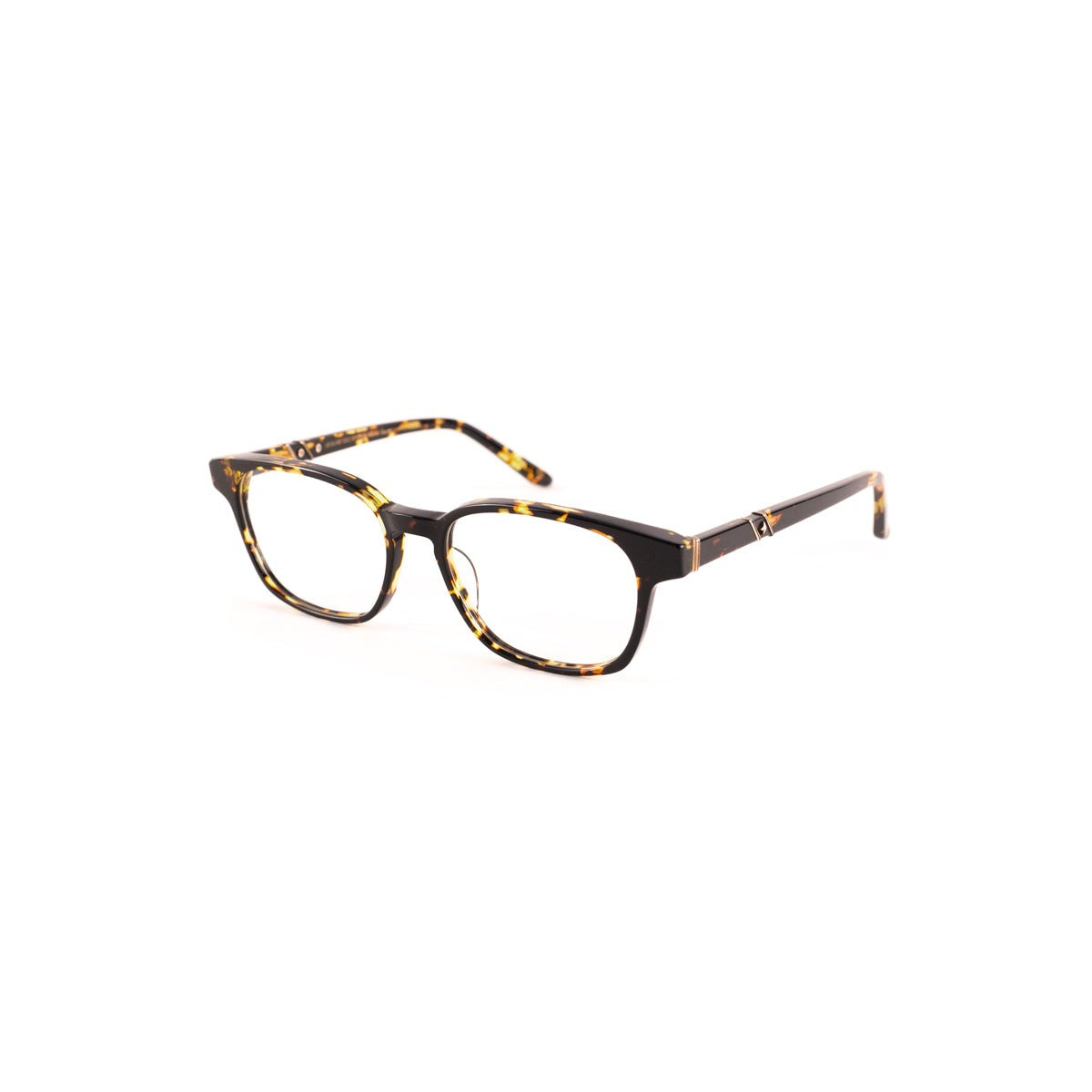 Leisure Society Eyewear | Visionary Optics NYC