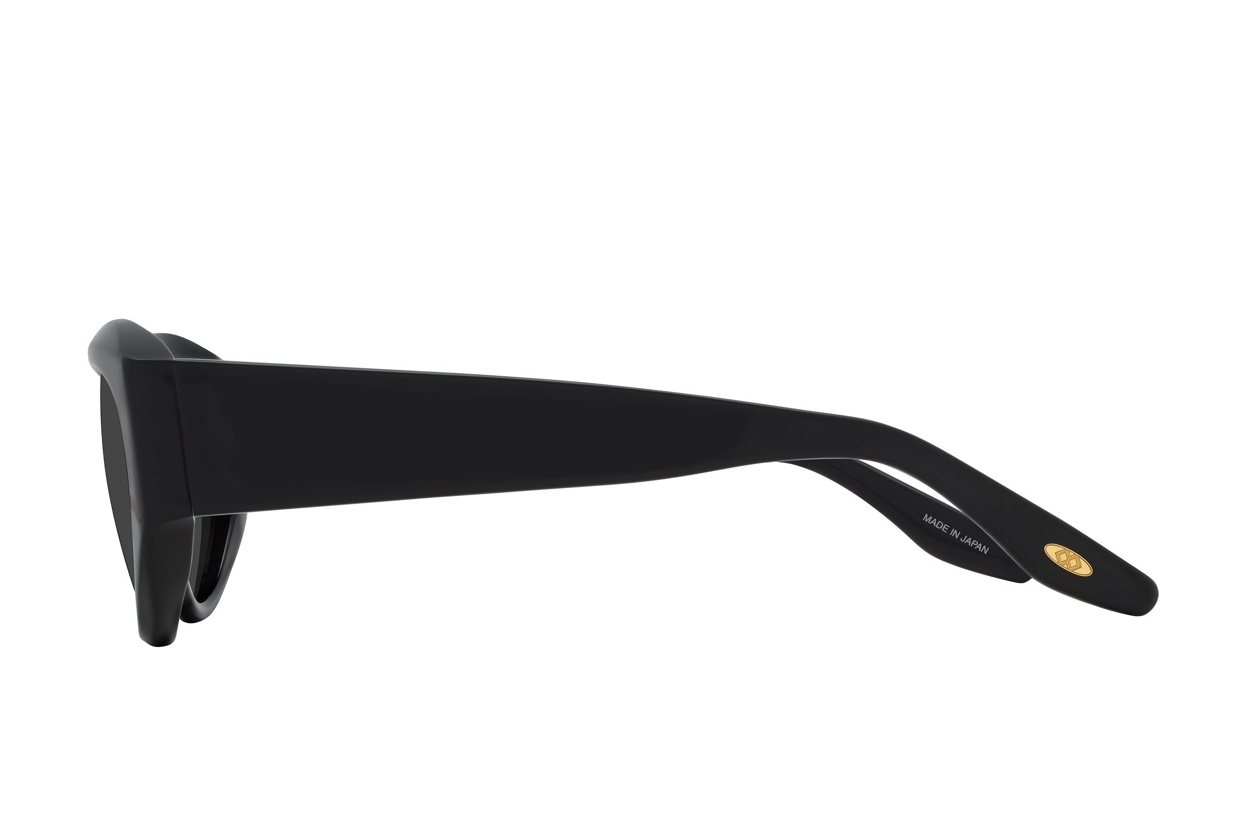 Barton Perreira Robinson sunglasses in Black / Noir at Visionary Optics NYC