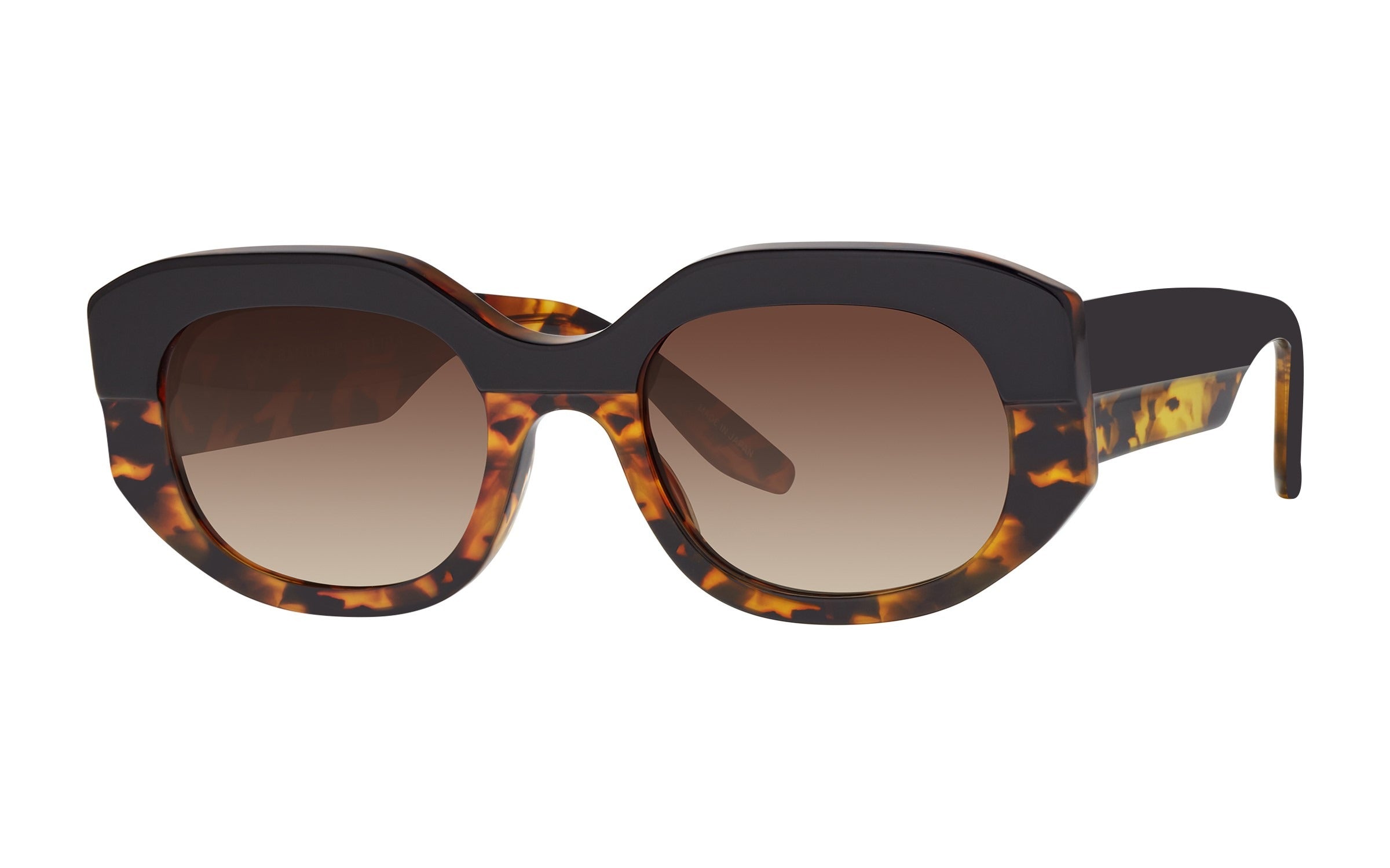 Barton Perreira Sueno sunglasses in Black Amber Tortoise / Smokey Topaz at Visionary Optics NYC