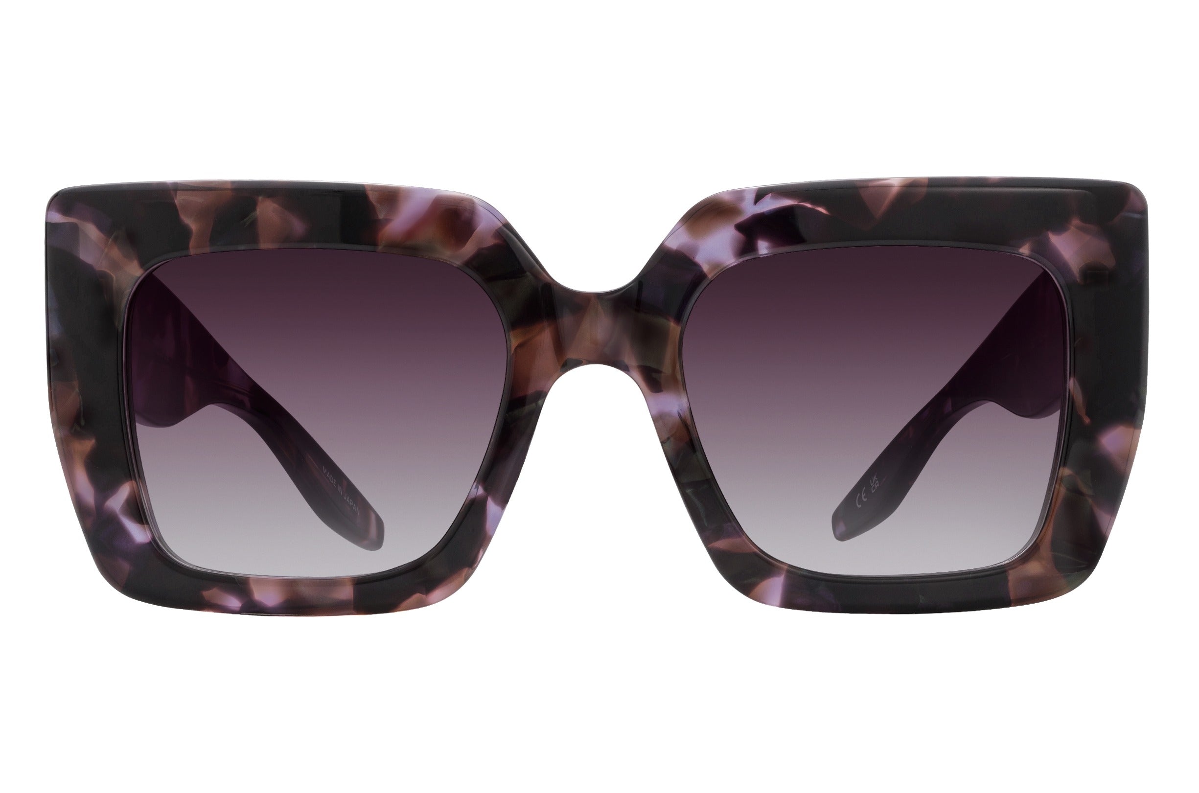 Barton Perreira Wailua sunglasses in Juniper Tortoise / Cassis at Visionary Optics NYC